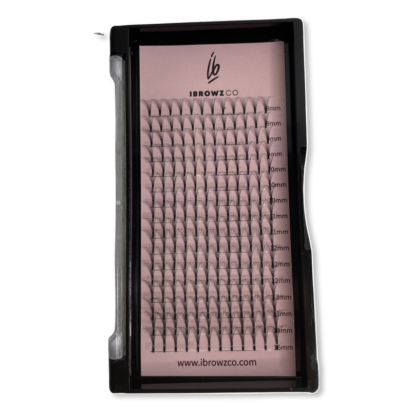 10D Pre-Made Lash Tray 0.05