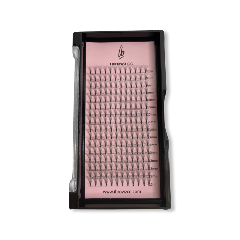 10D Pre-Made Lash Tray 0.05