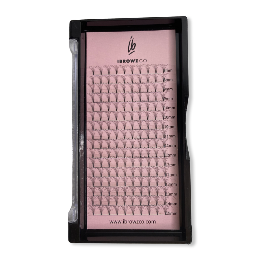 6D Pre-Made Lash Tray 0.07